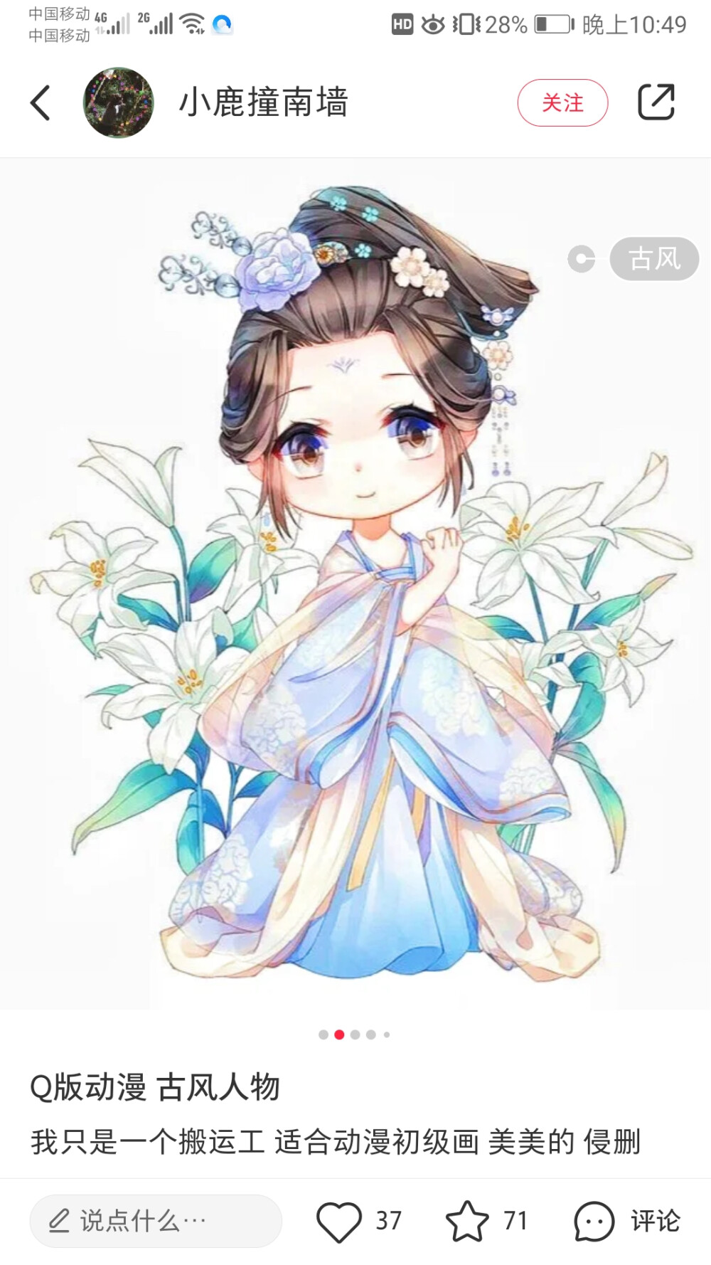 森林的秘密
